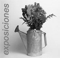 Exposiciones itinerantes.